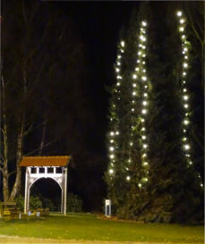 LED-Lichterketten auf den Fichten am "Pivitsheider Tor"